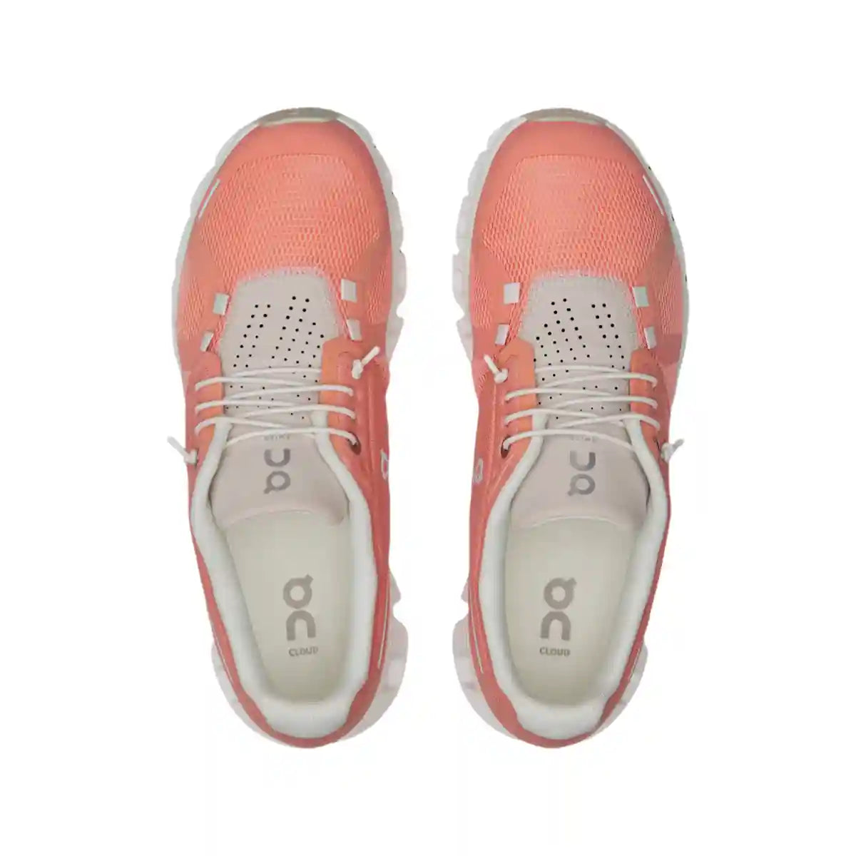 On Cloud 5 Damen Rose Puder/Muschelpuder 